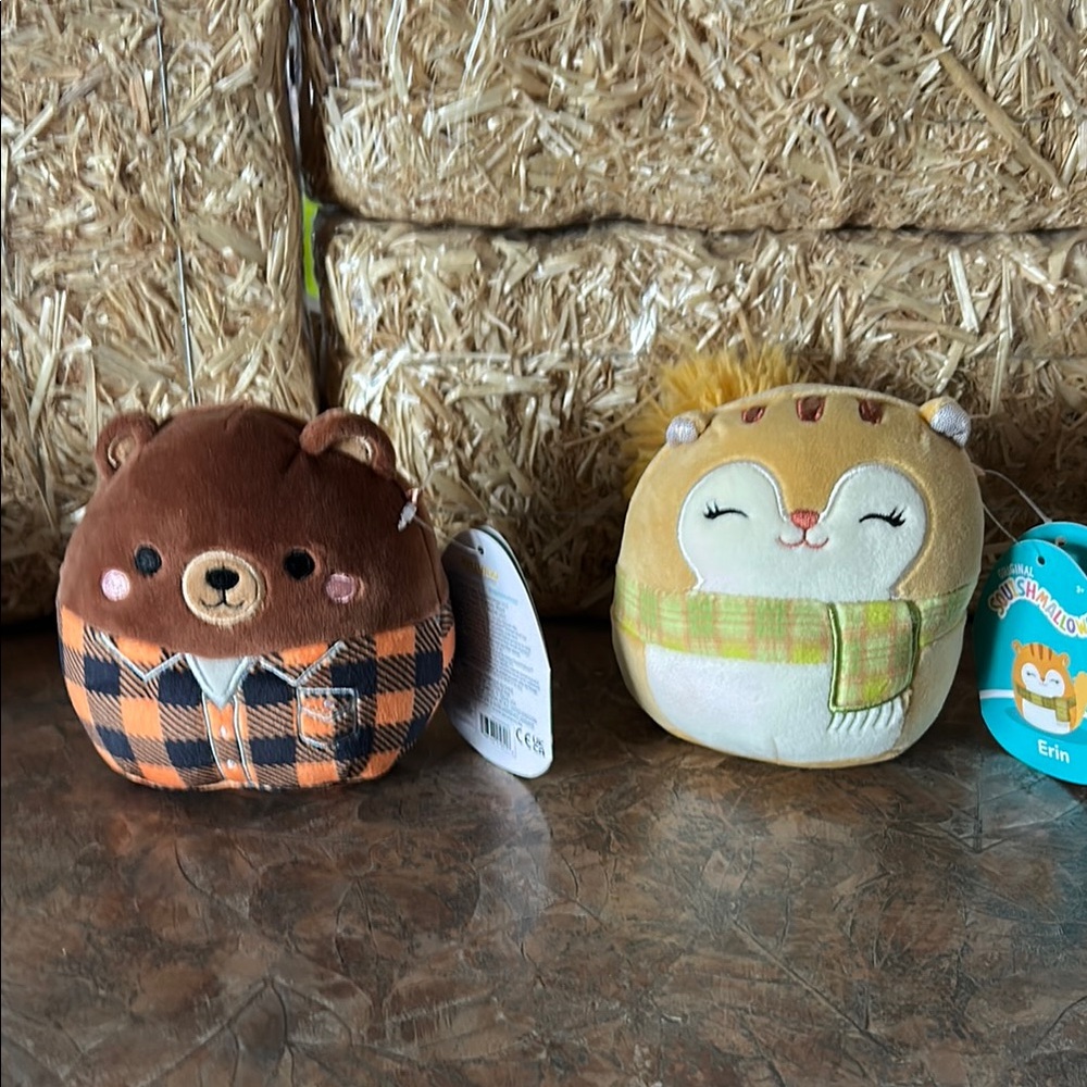 Squishmallows original duo. Omar the Bear and Erin the Squirrel